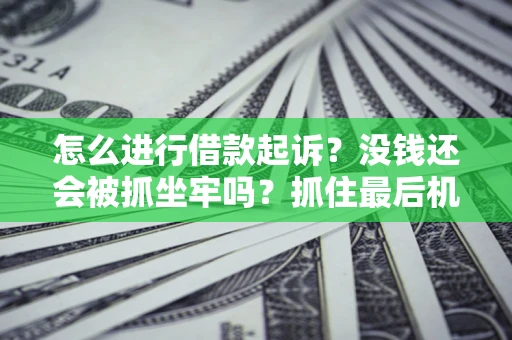 武汉怎么进行借款起诉？没钱还会被抓坐牢吗？抓住最后机会！