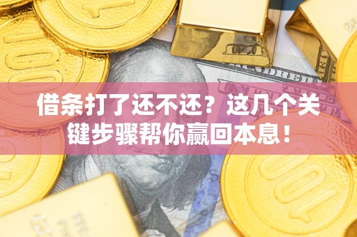 武汉借条打了还不还？这几个关键步骤帮你赢回本息！