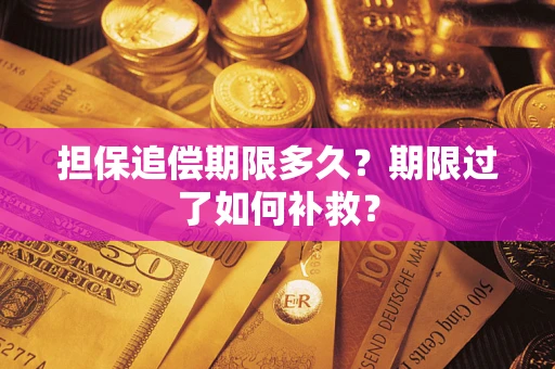武汉担保追偿期限多久？期限过了如何补救？