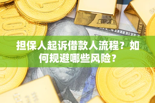 武汉担保人起诉借款人流程？如何规避哪些风险？