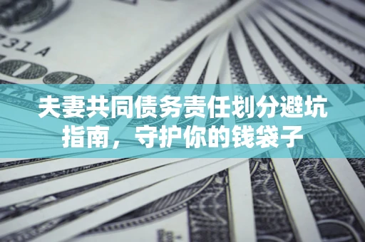 武汉夫妻共同债务责任划分避坑指南，守护你的钱袋子